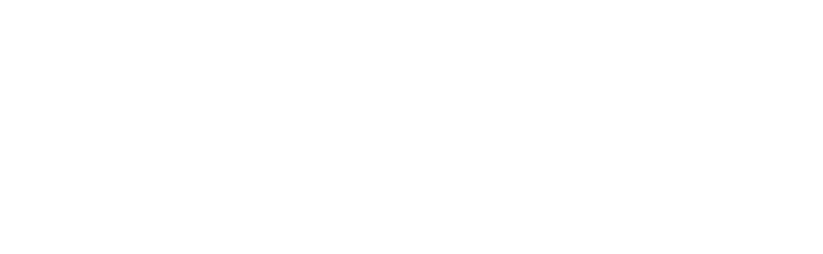 Zento Academy